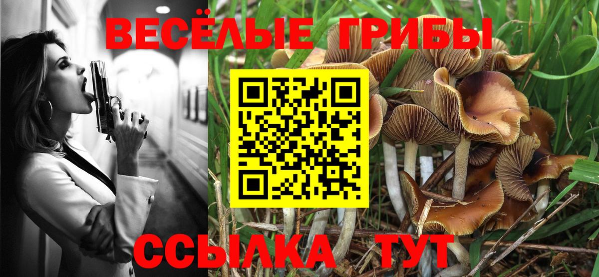 Псилоцибиновые грибы мицелий  Псилоцибиновые грибы MAGIC MUSHROOMS  магазин продажи   Вход с VPN  Омск 